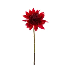 34″ Red king protea spray
