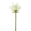 Agapanthe blanche artificielle, 27″
