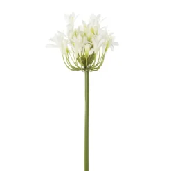 Agapanthe blanche artificielle, 27″