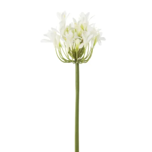 Agapanthe blanche artificielle, 27″