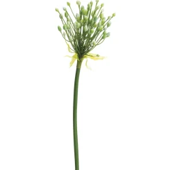 Agapanthe crème artificielle, 28″