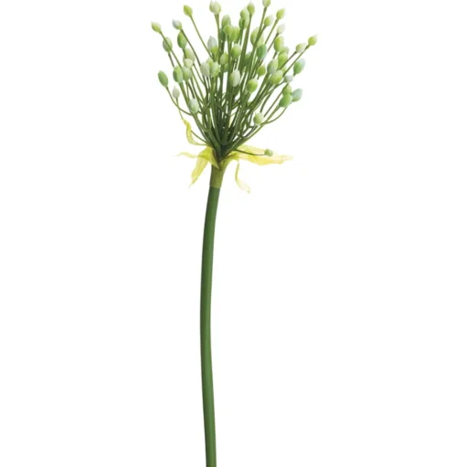 Agapanthe crème artificielle, 28″