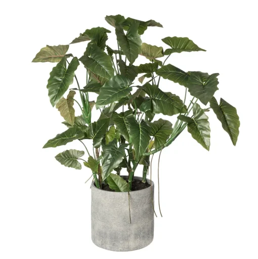 Anthurium artificiel en pot gris, 76 x 56″