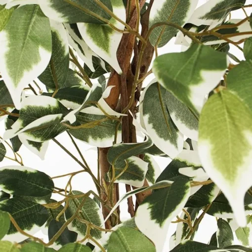Arbre ficus panaché artificiel, 47″