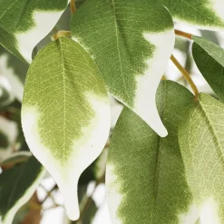 Arbre ficus panaché artificiel, 47″