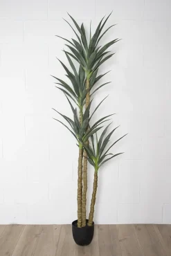 Artificial 4 trunks sisal agave, 71