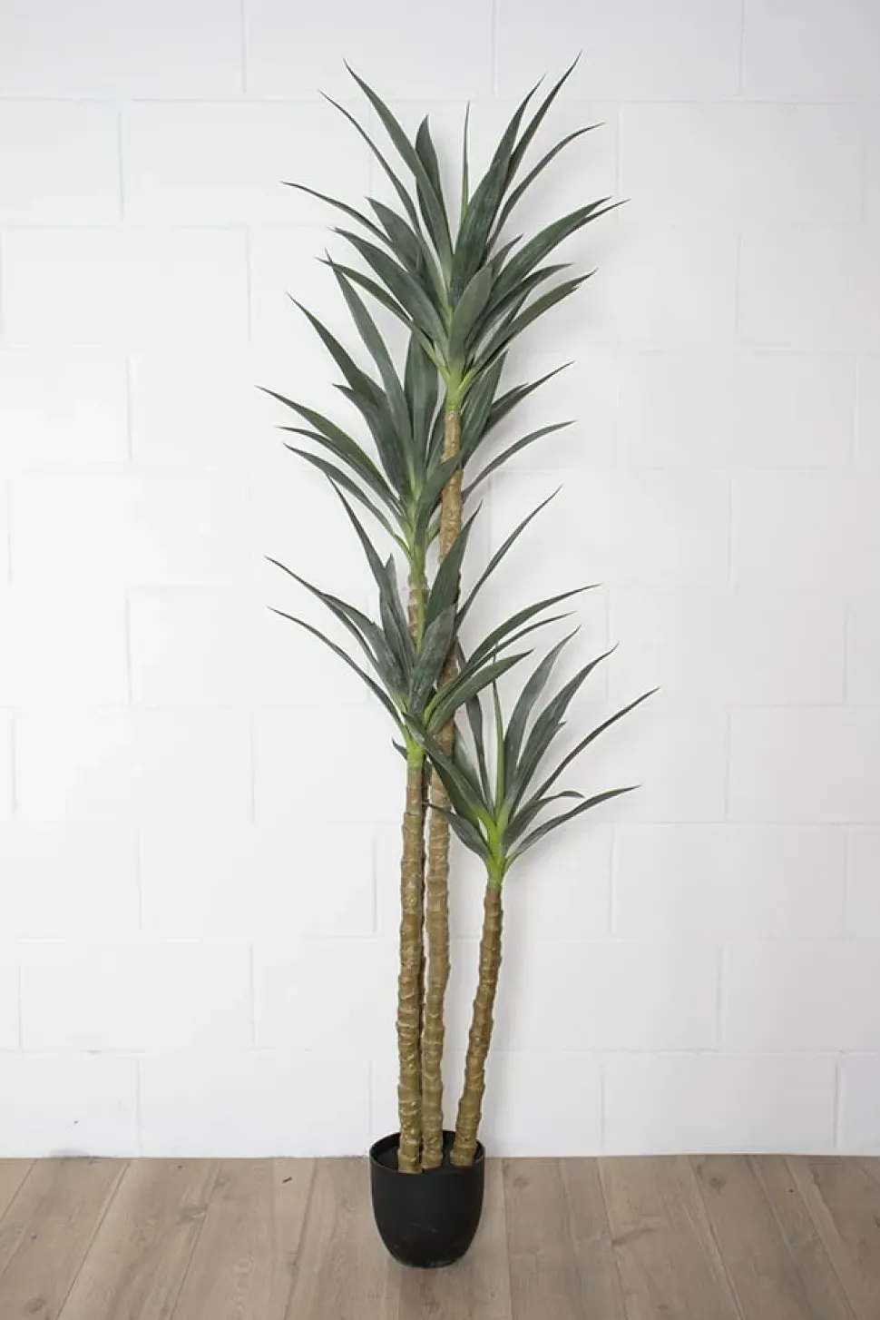 Artificial 4 trunks sisal agave, 71"