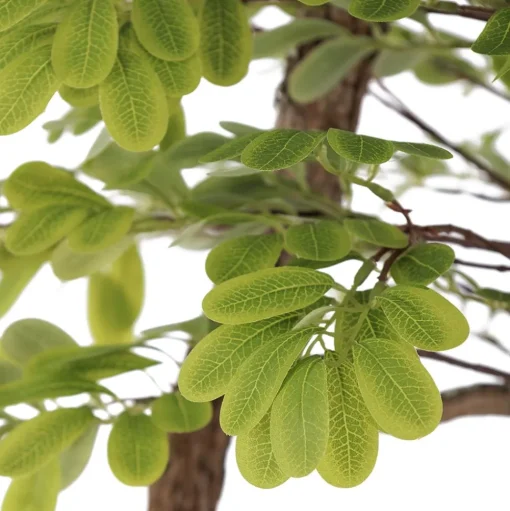 Artificial acacia indoor handmade tree