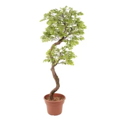 Artificial acacia indoor handmade tree