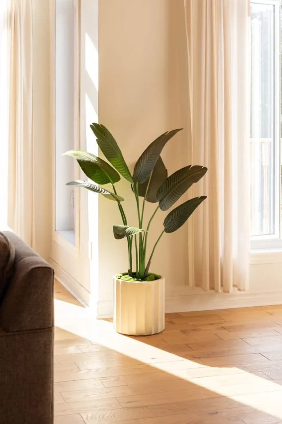 Artificial bird of paradise in a black pot, 48"