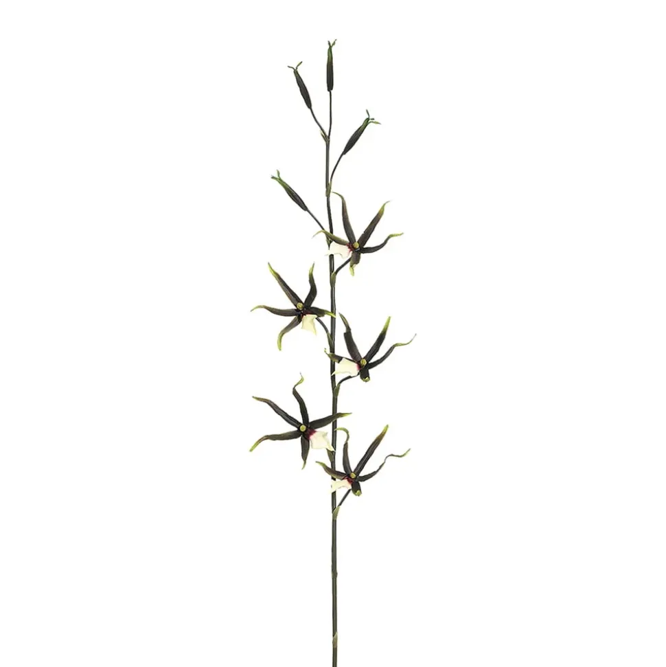 Artificial black spider orchid, 39"