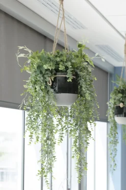 Artificial eucalyptus hanging plant, 32