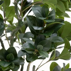 Artificial ficus with textured trunk, 63