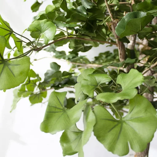 Artificial ginkgo indoor handmade tree