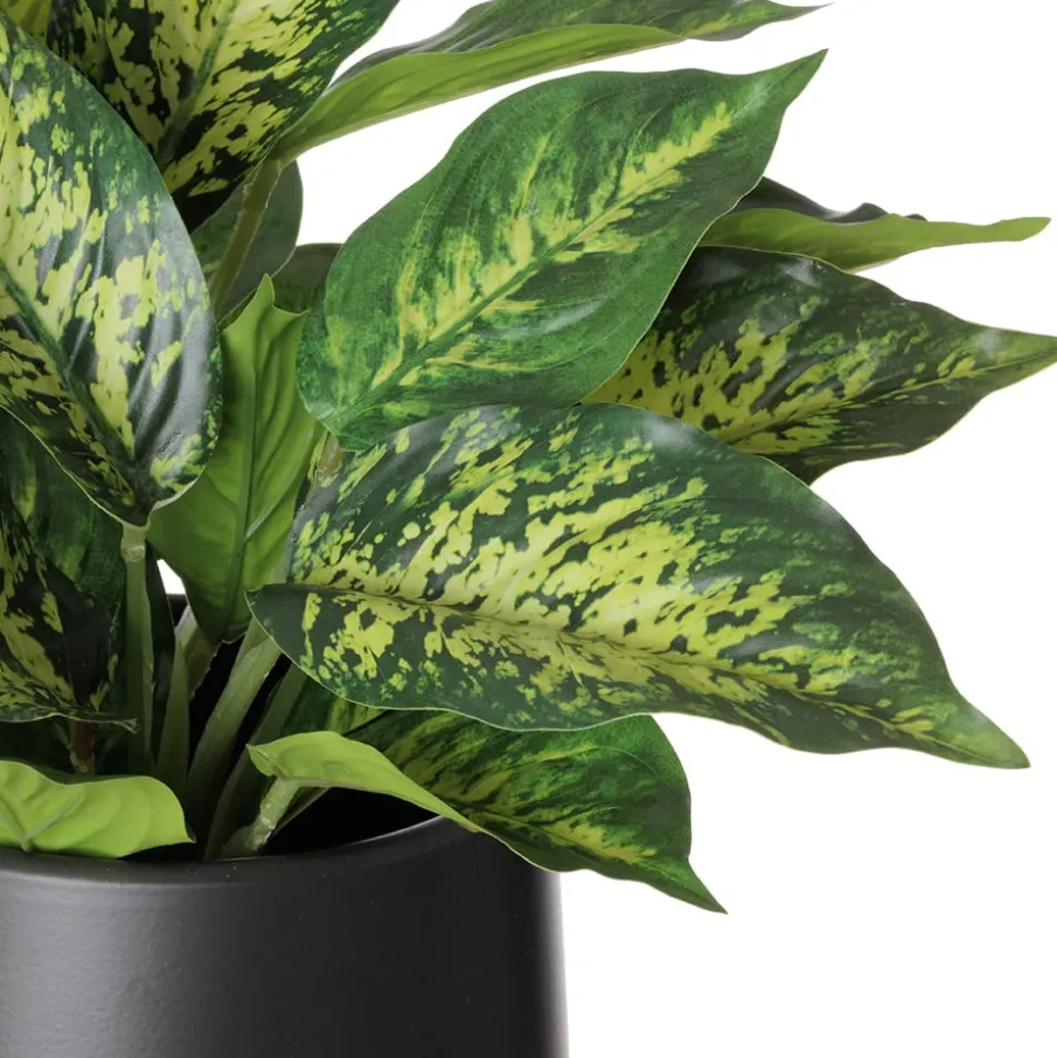 Artificial green aglaonema in a black pot