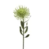 Artificial green protea  pincushion, 23"