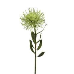 Artificial green protea  pincushion, 23"