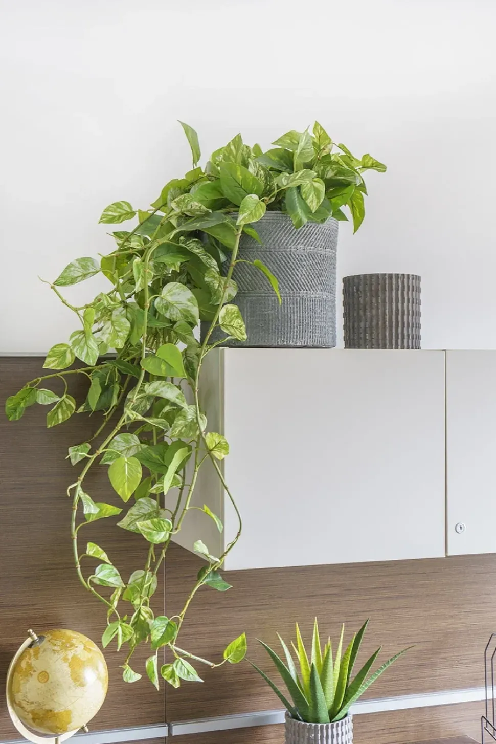 Artificial hanging pothos foliage, 48″