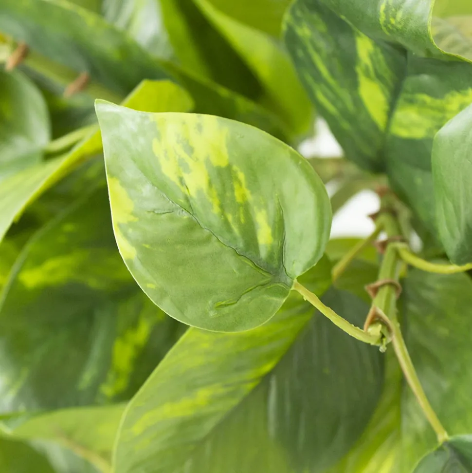Artificial hanging pothos foliage, 48″