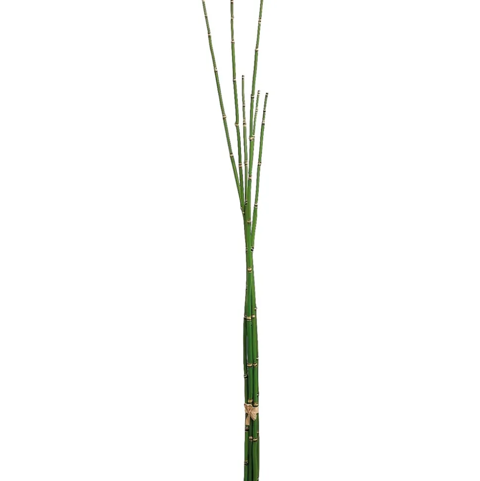 Artificial horsetail reeds, 36"