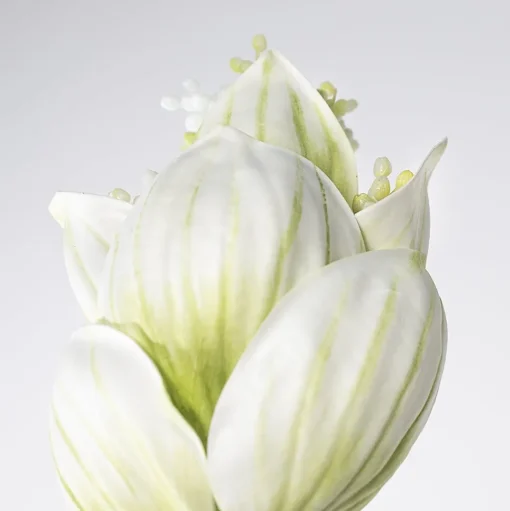 Artificial medinilla magnifica white green flower, 32″