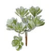 Artificial mini creeping grey succulent, 5"