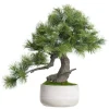 Artificial pine needle bonsai tree, 21″