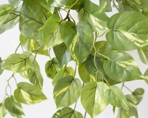 Artificial pothos hanging plant, 23"