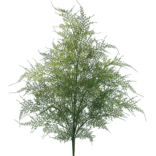 Artificial real-touch asparagus fern stem, 22"