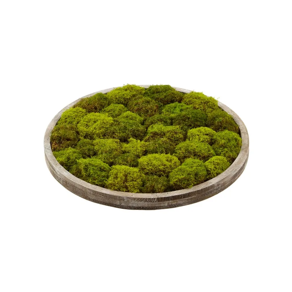 Artificial round textured moss plant wall, 24 x 24"