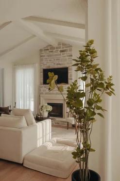 Artificial smoke tree, 72