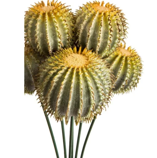 Artificial stem with cactus balls, 14"