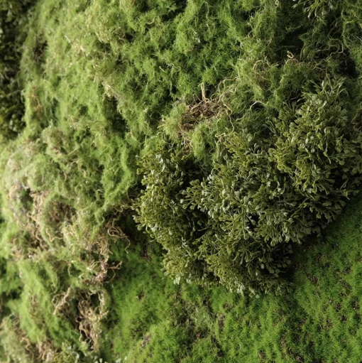 Artificial textured moss plant wall, 36 x 30"