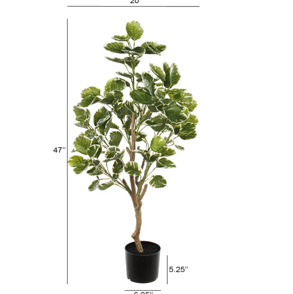 Artificial variegated aralia balfour plant, 47″