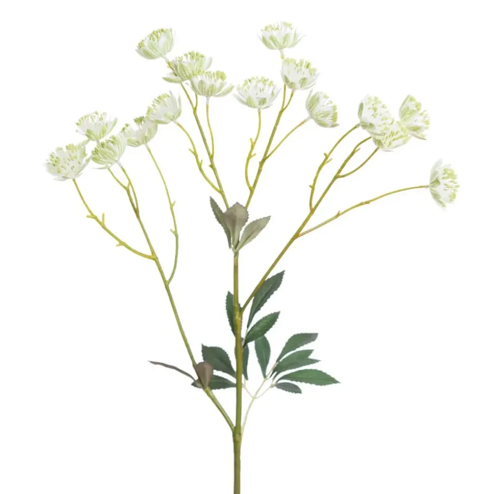 Artificial white astrantia flower stem, 24"