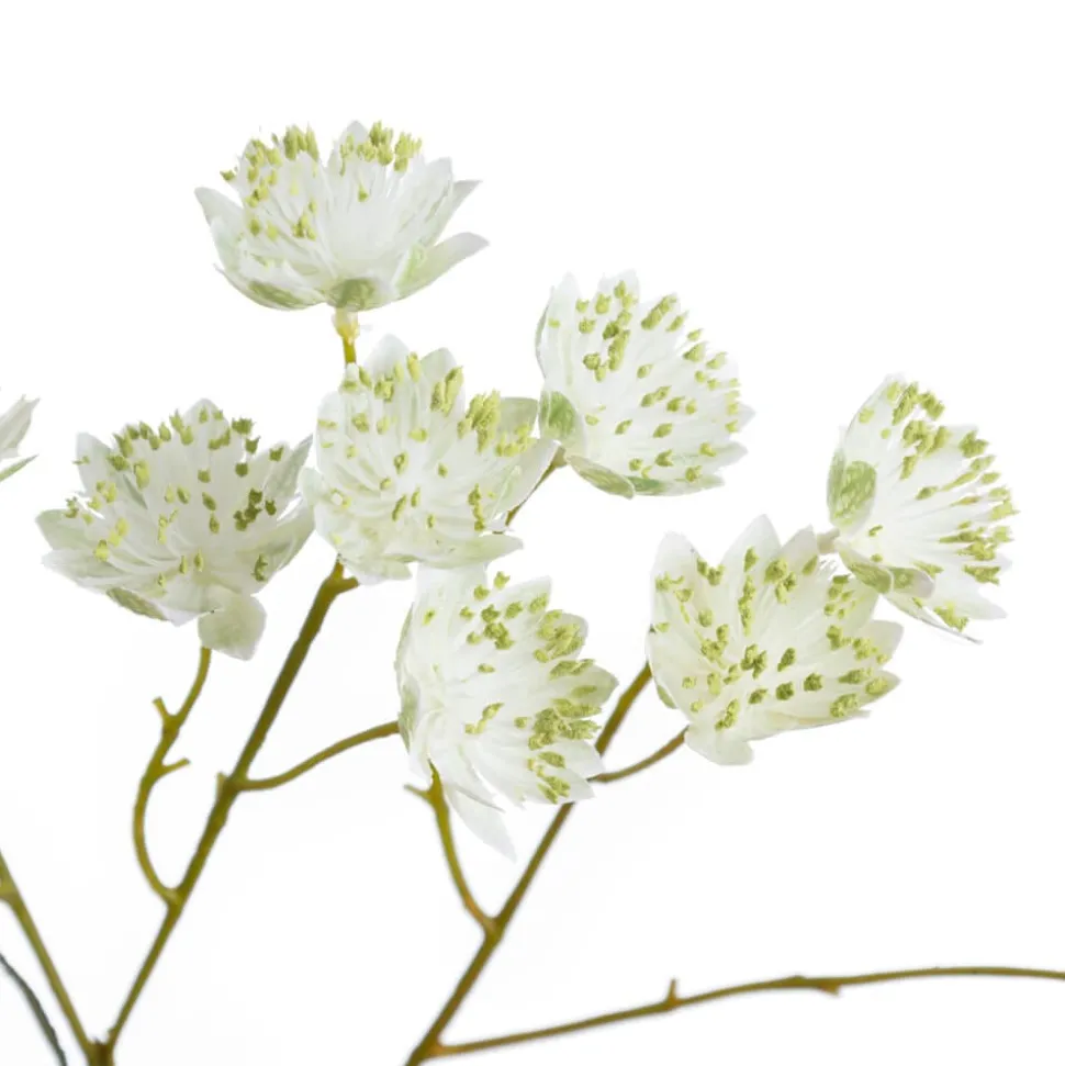 Artificial white astrantia flower stem, 24"