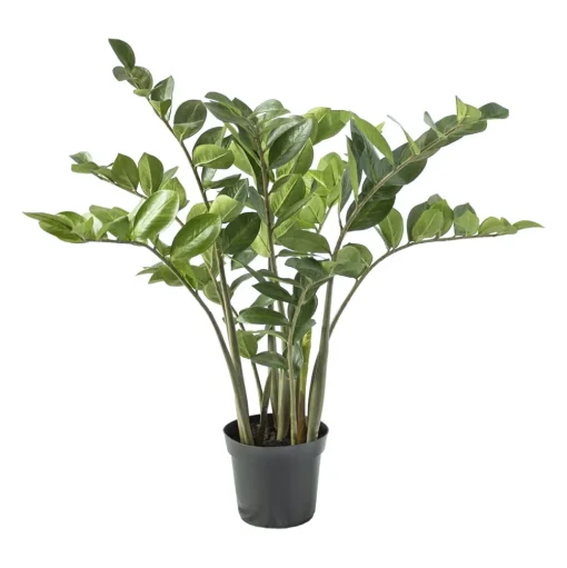 Artificial zamioculcas plant, 38"