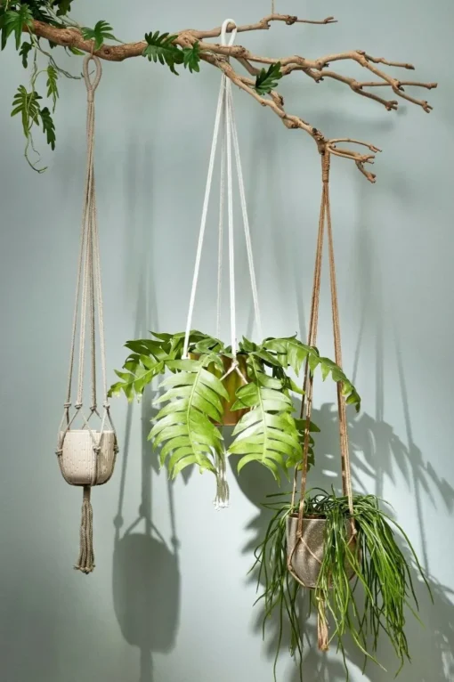 Beige planter holder rope