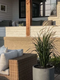 Black plastic outdoor plant pot