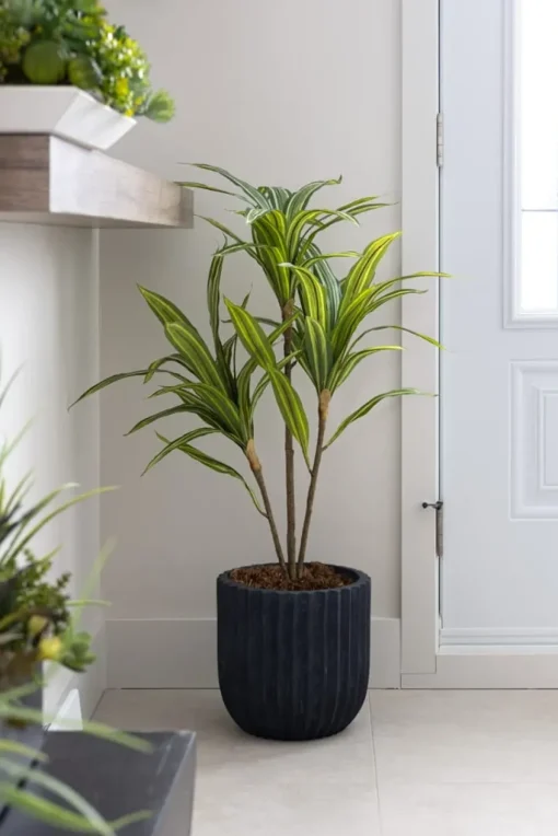 Black washed fibercement planter