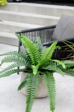 Boston fern artificial outdoor plant, 23,5"