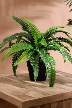 Boston fern artificial outdoor plant, 23,5