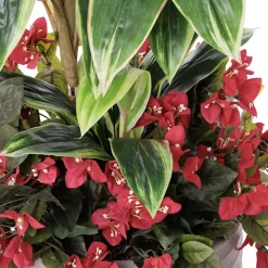 Bougainvillea and cordyline in a grey terrazzo beige pot, 52
