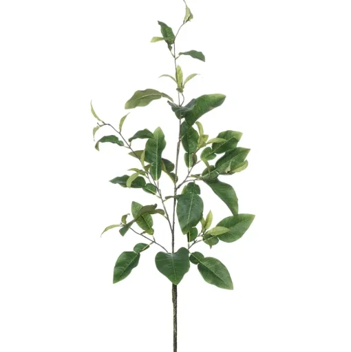 Branche de feuilles de citronnier, 45″