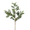 Branche d’euphorbe panachée artificielle, 25″