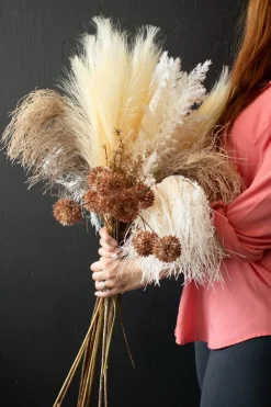 Brown pampas, 33″