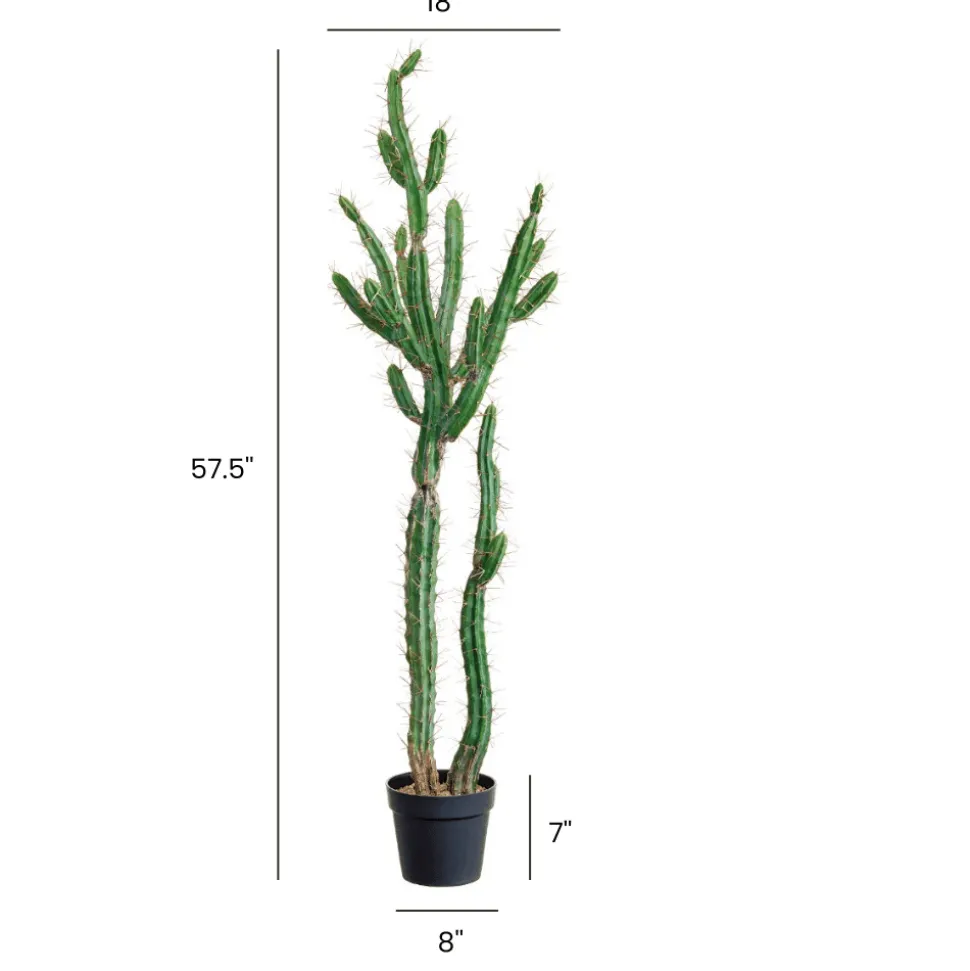 Cactus péruvien artificiel, 57,5″