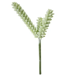 Cactus vert-jaune sur tige, 11″