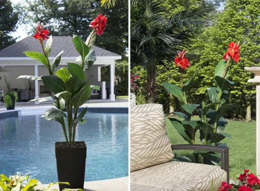 Canna rouge artificiel extérieur en pot, 62″