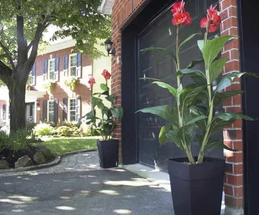 Canna rouge artificiel extérieur en pot, 62″